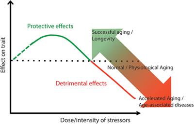 The Continuum of Aging and Age-Related Diseases: Common Mechanisms but Different Rates